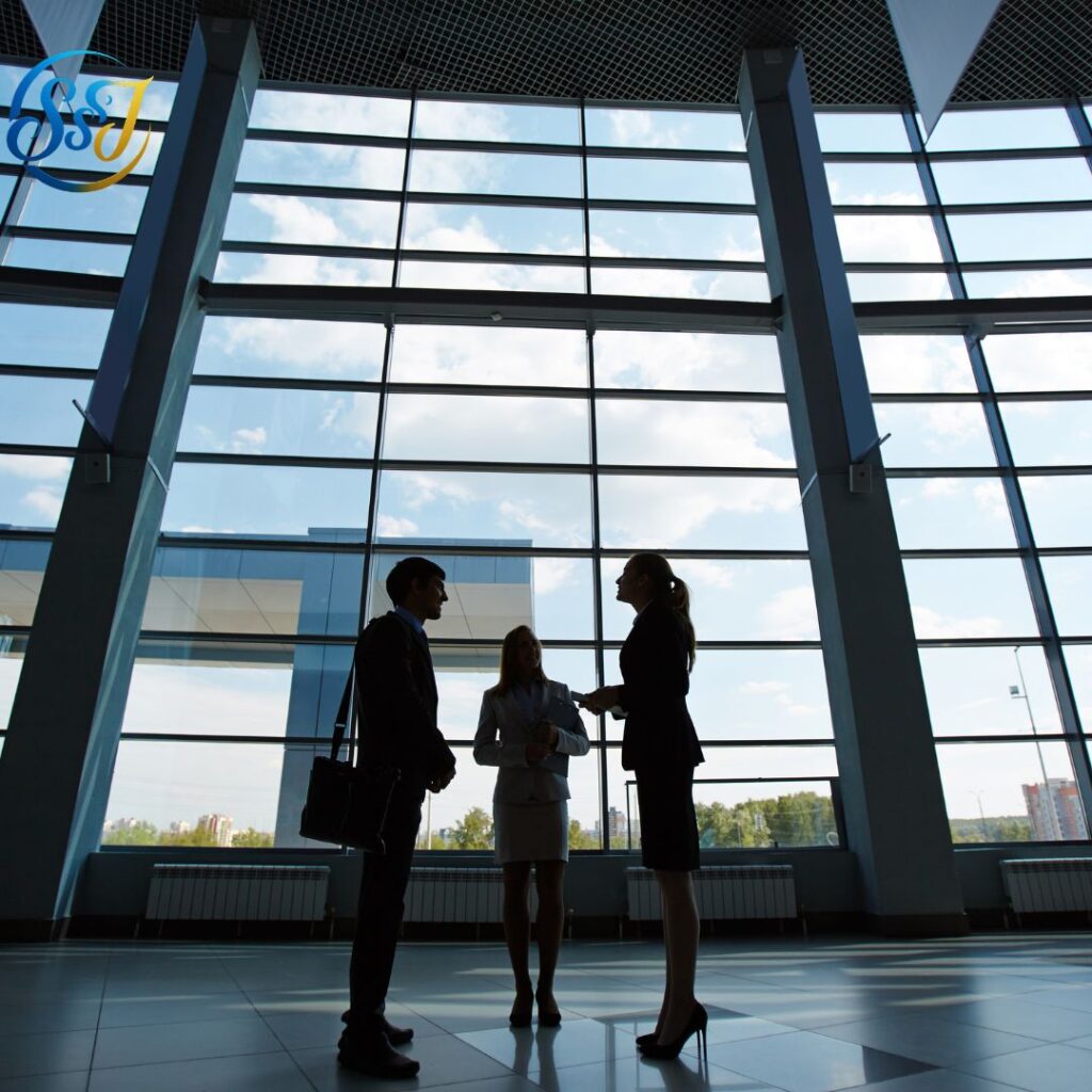 SSJ Developer business consulting