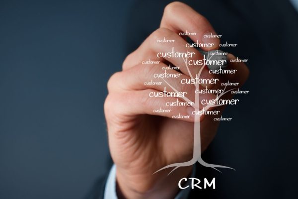 Custom CRM solution development CRM dashboard interface by SSJ Developer