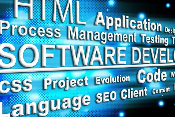 Custom software development interface Mobile app prototype presentation