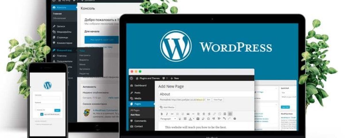 Website Development Services