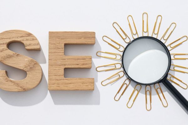 SEO optimization techniques SEO company services India